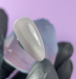 Cat Eye Magnetinis Gelinis lakas Jelly Gelly Frosty Silk 12ml - Image 2