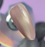 Cat Eye Magnetinis Gelinis lakas Jelly Gelly Blush Silk 12ml - Image 2