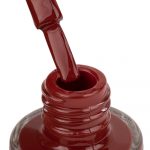 Lakas antspaudams NTN Nr.100 Bordo - Image 2